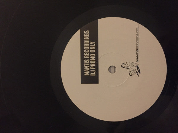 Brooks & Dani Siciliano : Wandering (12", EP, Promo)
