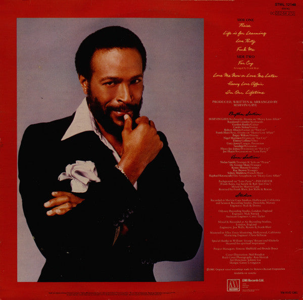 Marvin Gaye : In Our Lifetime (LP, Album)