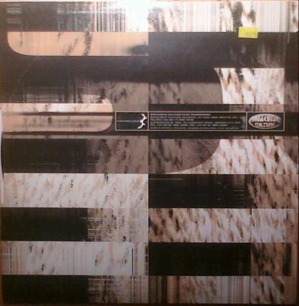 Kosheen : Dangerous Waters (12")