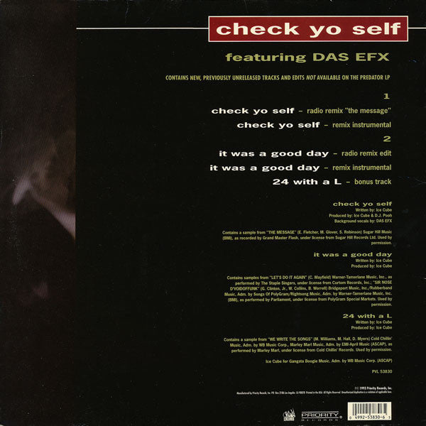 Ice Cube Featuring Das EFX : Check Yo Self (12")