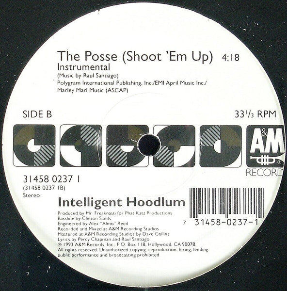 Intelligent Hoodlum : The Posse (Shoot 'Em Up) (12")