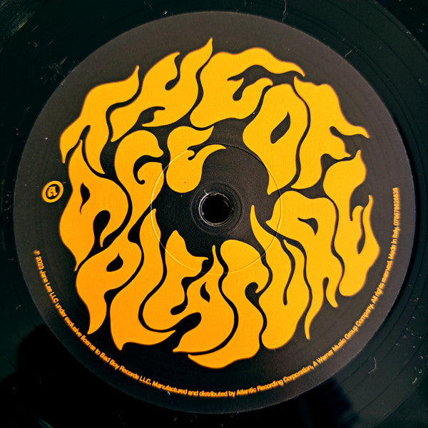 Janelle Monáe : The Age Of Pleasure (LP, Album)