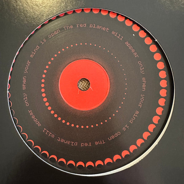 The Martian : RP-VI (12", RM)