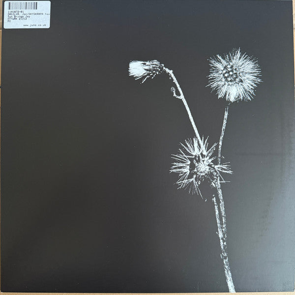 Jon Dasilva & Skyskrapa Feat. Donald Waugh : Sun Brings Joy (12")
