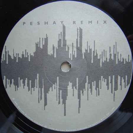 Project 23 : Pleasure & The Pain (12")