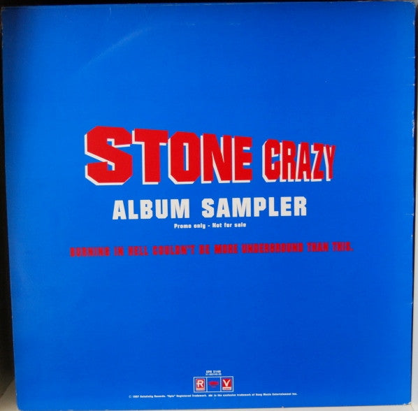 The Beatnuts : Stone Crazy Album Sampler (12", Promo)
