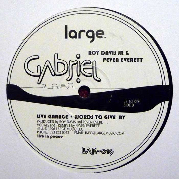 Roy Davis Jr. & Peven Everett : Gabriel (12", RE)