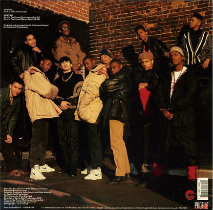 Twin Hype : Do It To The Crowd (12", Single)
