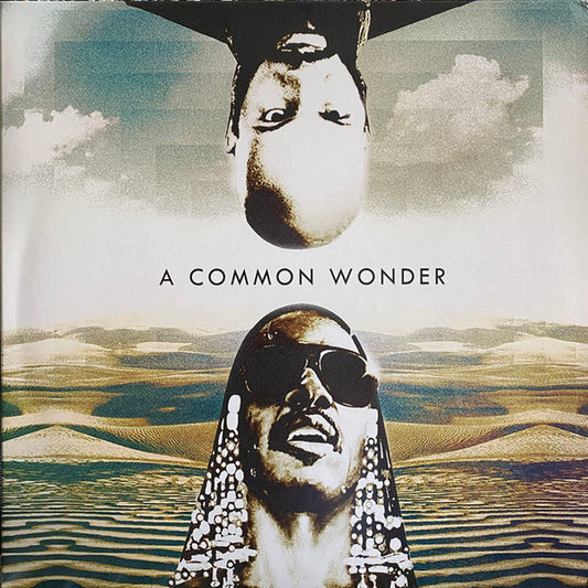 Amerigo Gazaway : A Common Wonder (2xLP)