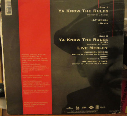 Boogie Down Productions : Ya Know The Rules (12")
