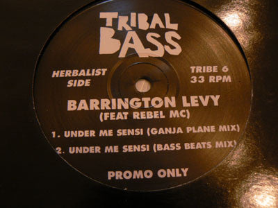 Barrington Levy : Under Me Sensi (12", Promo)