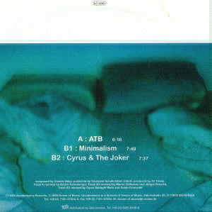 Ayla : Liebe The Remixes (12")