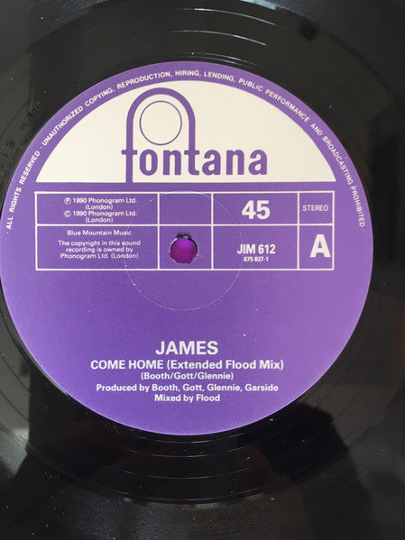 James : Come Home (12", Single)