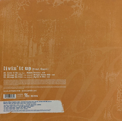 Ja Rule Feat Case : Livin' It Up (12")