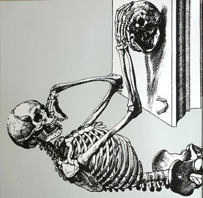 Skull Snaps : Skull Snaps (LP, Album, RE, Gat)