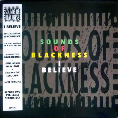 Sounds Of Blackness : I Believe (12", Single)