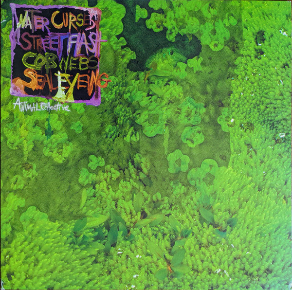 Animal Collective : Water Curses (12", EP)