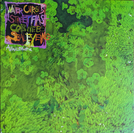 Animal Collective : Water Curses (12", EP)