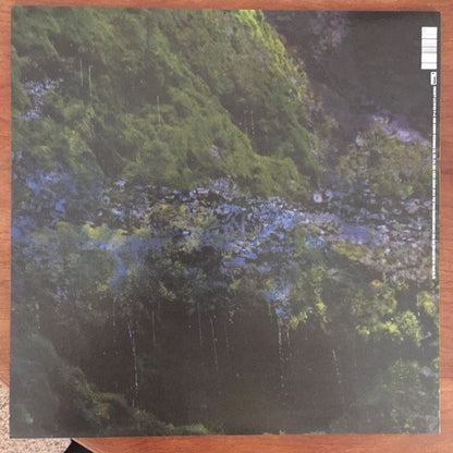 Animal Collective : Water Curses (12", EP)