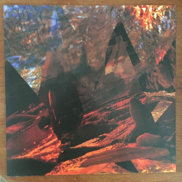 Animal Collective : Water Curses (12", EP)