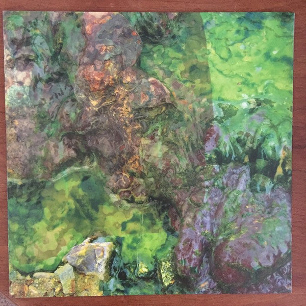 Animal Collective : Water Curses (12", EP)