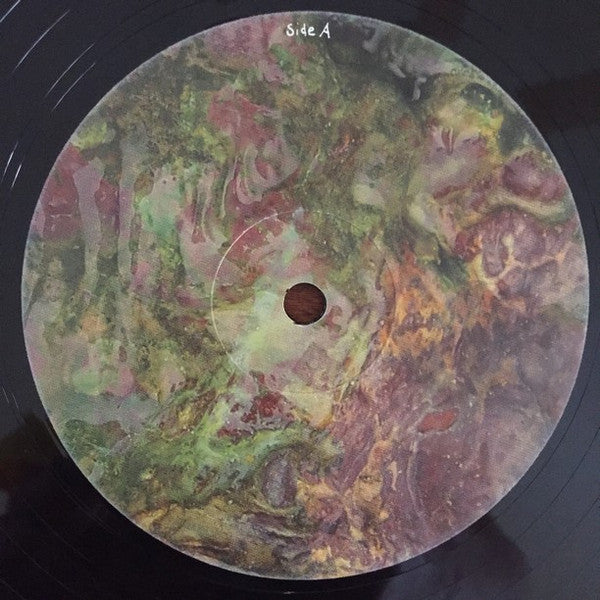 Animal Collective : Water Curses (12", EP)