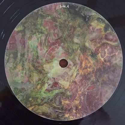 Animal Collective : Water Curses (12", EP)