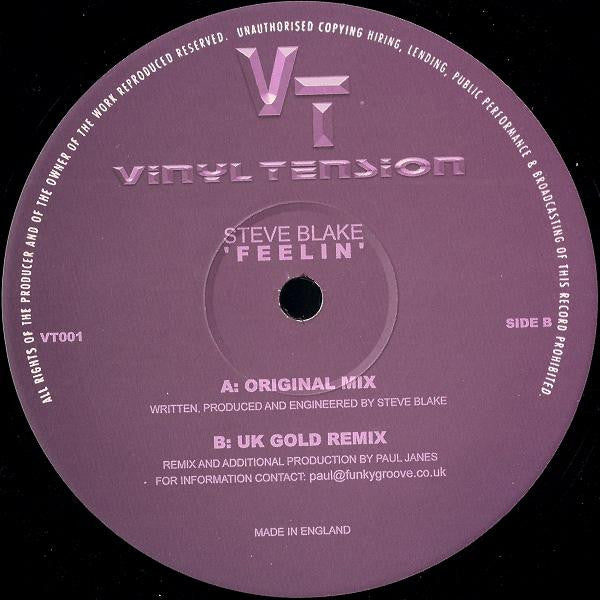 Steve Blake : Feelin (12")