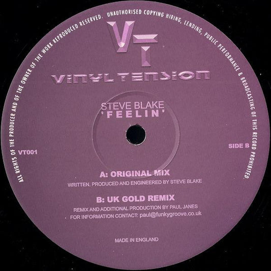 Steve Blake : Feelin (12")