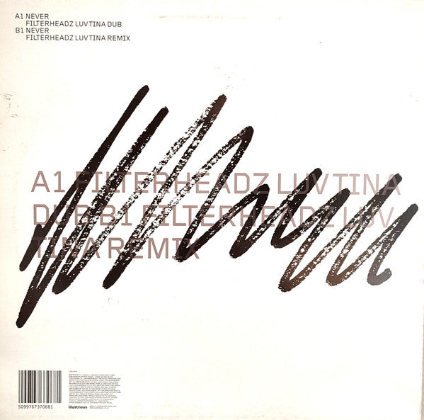 The Roc Project : Never (Filterheadz Remixes) (12")