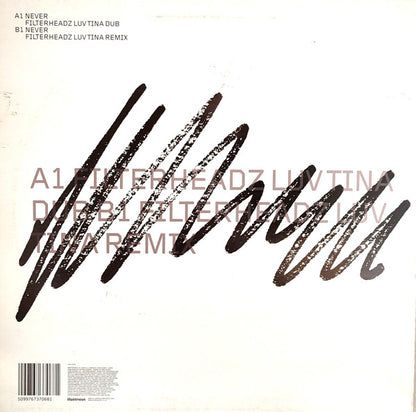 The Roc Project : Never (Filterheadz Remixes) (12")