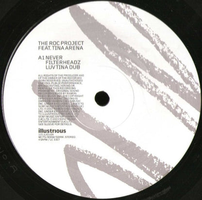 The Roc Project : Never (Filterheadz Remixes) (12")
