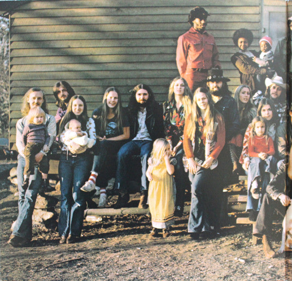 The Allman Brothers Band : Brothers And Sisters (LP, Album, Ltd, RE, RM, Gre)