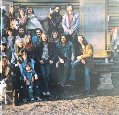 The Allman Brothers Band : Brothers And Sisters (LP, Album, Ltd, RE, RM, Gre)