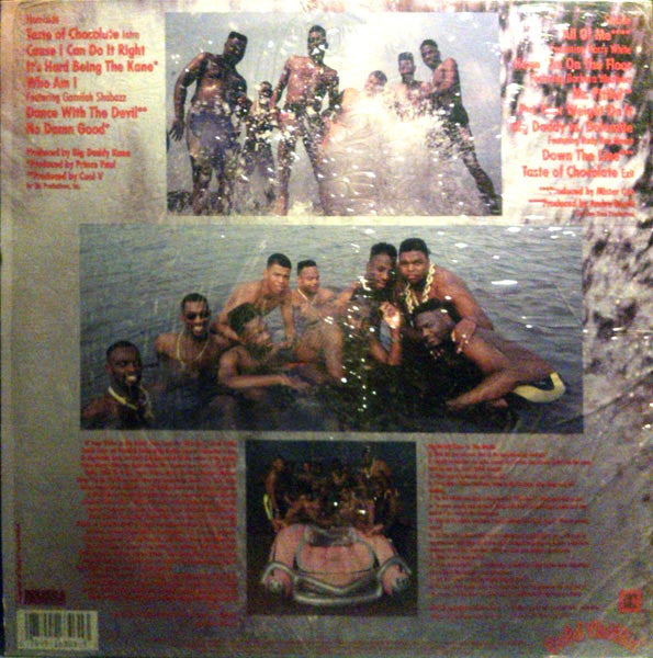 Big Daddy Kane : Taste Of Chocolate (LP, Album)