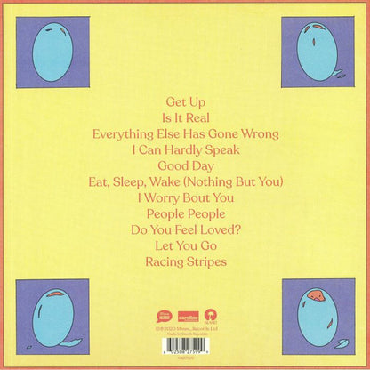 Bombay Bicycle Club : Everything Else Has Gone Wrong (LP, Album)