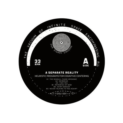 A Separate Reality (2) :  Heuristic Programs For Cognitive Centering (12", EP)