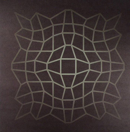 Harmonic 313 : Dirtbox (12")