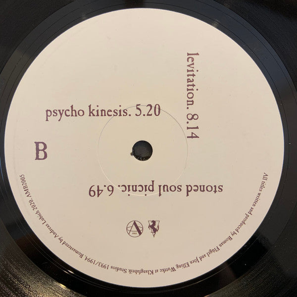 The Primitive Painter : The Primitive Painter (2x12", Album, RE, RM)