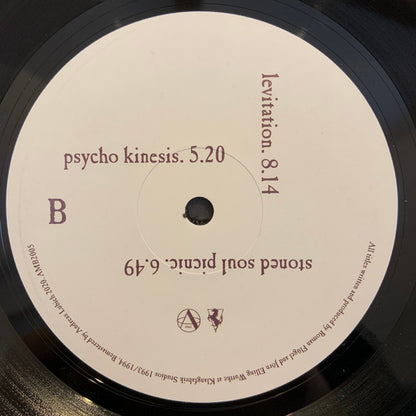 The Primitive Painter : The Primitive Painter (2x12", Album, RE, RM)