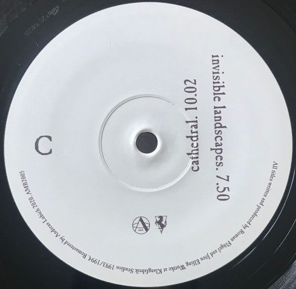 The Primitive Painter : The Primitive Painter (2x12", Album, RE, RM)