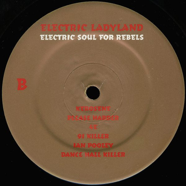 Various : Electric Ladyland (Electric Soul For Rebels) (2xLP, Comp)