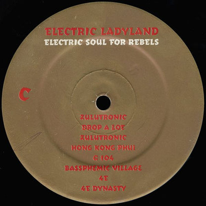 Various : Electric Ladyland (Electric Soul For Rebels) (2xLP, Comp)