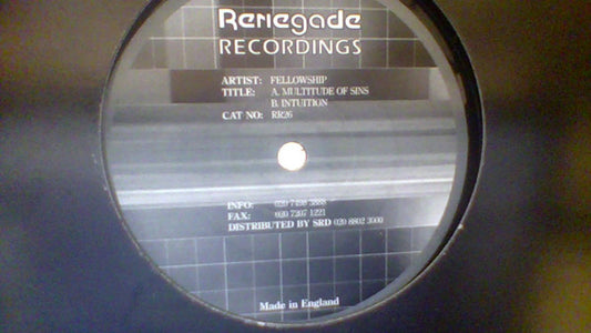 Fellowship : Multitude Of Sins / Intuition (12", Promo)