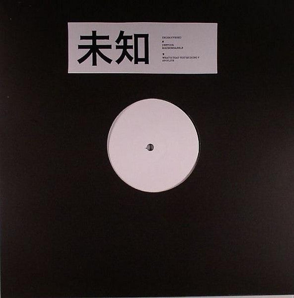 Various : 未知 Undiscovered (12", Unofficial, W/Lbl)