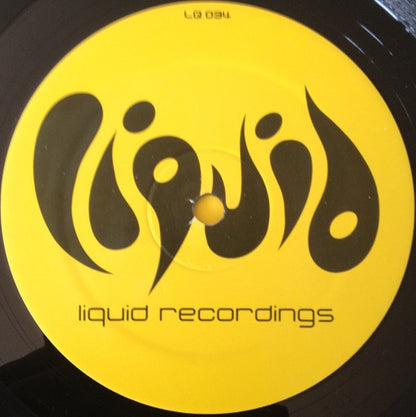 Ron Van Den Beuken : Timeless (12", Ful)