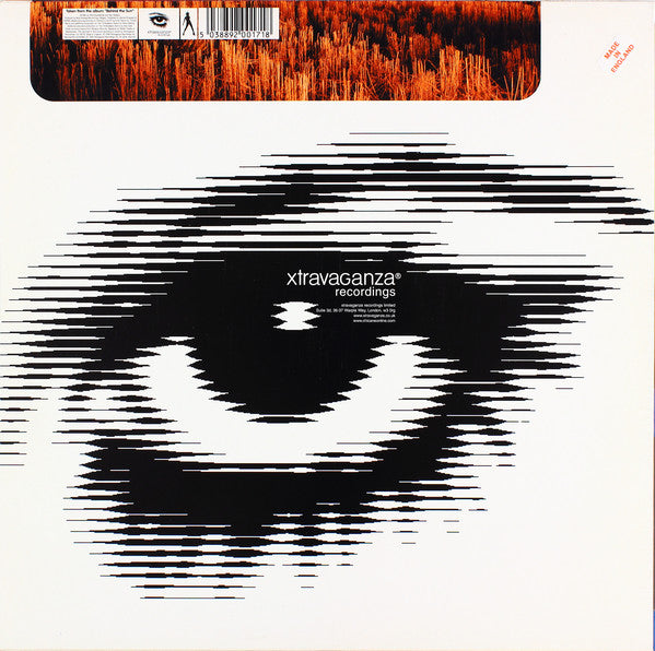 Chicane : Autumn Tactics (12")