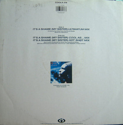 Monie Love Featuring True Image : It's A Shame (My Sister) (12")