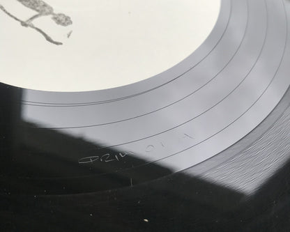 Unknown Artist : Primitive Urges Vol. 1 (12", RE, RM, W/Lbl)