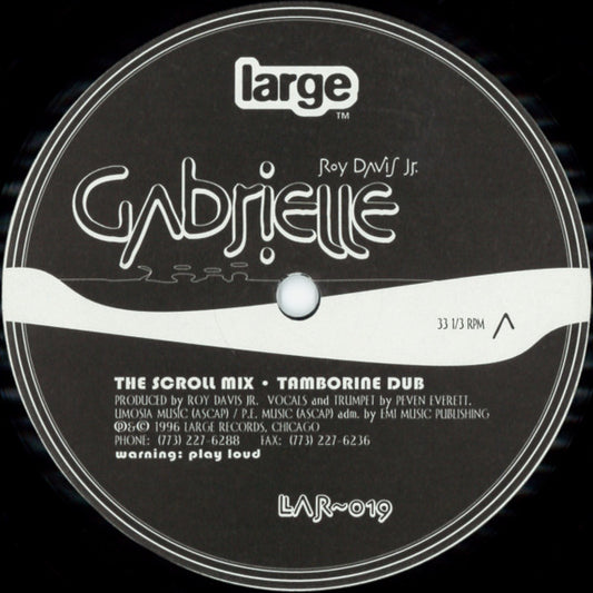 Roy Davis Jr. : Gabrielle (12", RP)